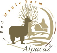 Red Maple Farm-Alpacas