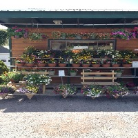 Cavages’ Country Farm Market