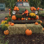 Fall pumpkins and seasonal items