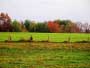 Fall Fields of Wayne County Pa