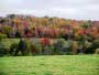 Fall Foliage of Wayne County Pa