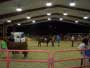 The Wayne County Fair Livestock Show