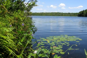 Lake Lacawac in Lacawac Sanctuary and Wildlife preserve near Lake Ariel and Hamlin Pennsylvania in the Pocono Mountains